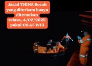 Proses pencarian terhadap Thina Ramadhani (8), korban diterkam buaya akhirnya berhasil ditemukan