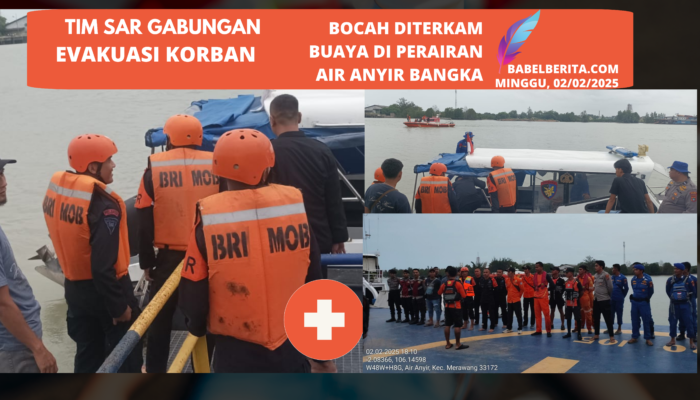 TIM SAR Brimob Babel Gabungan melakukan evakuasi dan Pencarian Anak yang Hilang Akibat Diterkam Buaya