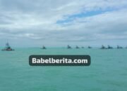 Menelusuri Monopoli dalam Pasar Pertambangan Timah: Apa Itu Monopoli dan Implikasinya
