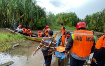 Tim SAR Gabungan telah berhasil mengevakuasi Korban yg diterkam Buaya di Alur Sungai Menduk, Desa Paya Benua, Kec. Mendo Barat, Kab. Bangka